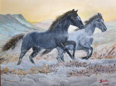 cavalli inverno